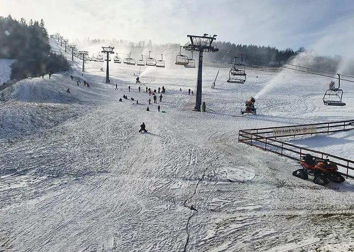 Obri Sud Javornik Pensjonat *