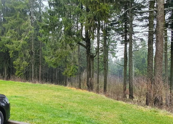 Obri Sud Javornik * Jermanice